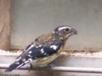 100_5653.jpg